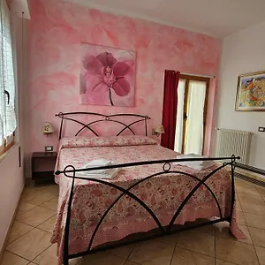 ** Bed & Breakfast Il Giardino In Citta Italië